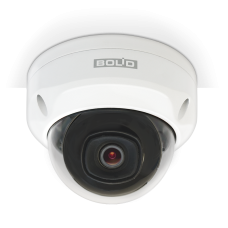 BOLID VCI-242 версия 4. Профессиональная IP-камера купольная уличная. BOLID