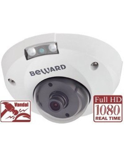 NK55630D8. IP-камера купольная. Beward в Ростове-на-Дону