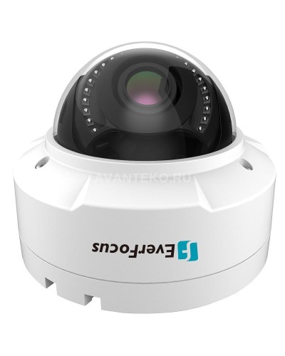 EHN-1250. Видеокамера IP купольная. EverFocus в Ростове-на-Дону