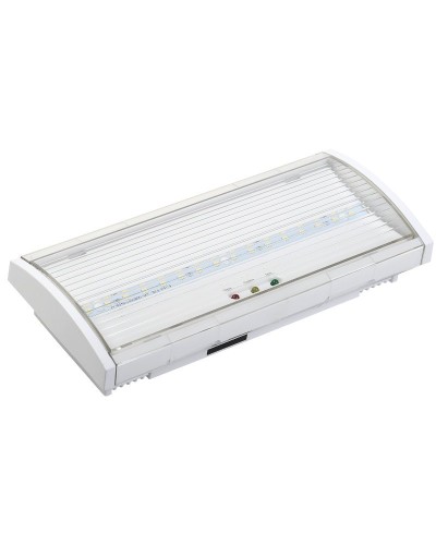 Светильник аварийный ДПА 5040-1 1ч IP54 LIGHTING (LDPA0-5040-1H-K01). Светильник аварийный постоянного действия. IEK в Ростове-на-Дону