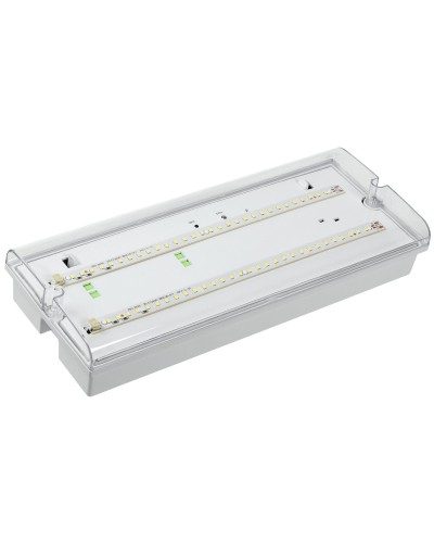 Светильник аварийный ДПА 5042-1 1ч IP65 LIGHTING (LDPA0-5042-1-65-K01). Светильник аварийный универсальный. IEK в Ростове-на-Дону