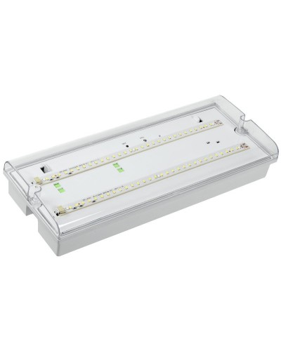 Светильник аварийный ДПА 5042-3 3ч IP65 LIGHTING (LDPA0-5042-3-65-K01). Светильник аварийный универсальный. IEK в Ростове-на-Дону