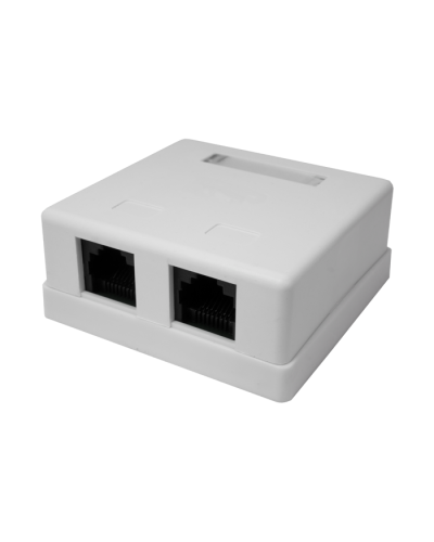 Розетка настенная RJ-45, 8P8C, Cat.5e, 2 порта UTP (10-0309): Компьютерная розетка в Ростове-на-Дону