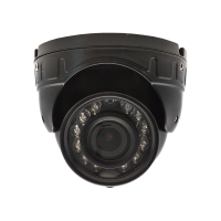 ST-S2501 (2.8) (черный). Видеокамера IP купольная. Space Technology