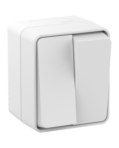 AtlasDesign PROFI54 выключатель 2-клавишный, открытой установки, белый (ATN540151). Выключатель. Systeme Electric в Ростове-на-Дону