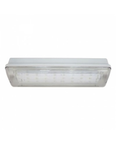 SL-213-30LED1.8 исп.1 IP54. Светильник аварийного освещения. ИП Раченков А.В. в Ростове-на-Дону
